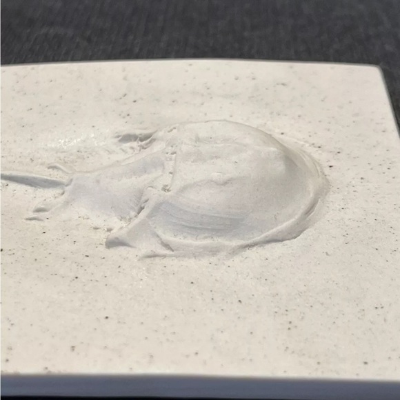 White Ceramic Tile with Embossed Design - Picture 2 of 4